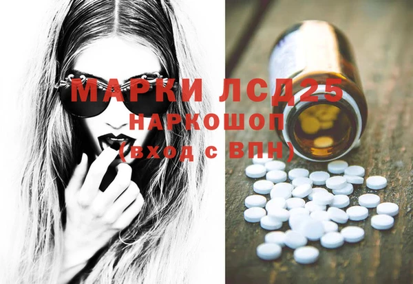 PSILOCYBIN Верея