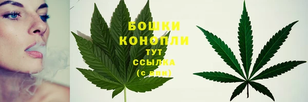 PSILOCYBIN Верея