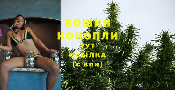 PSILOCYBIN Верея