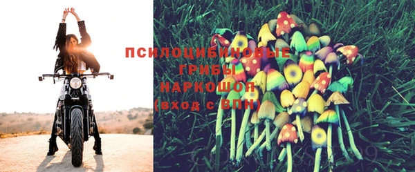 спиды Верхний Тагил