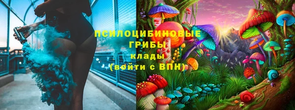 PSILOCYBIN Верея