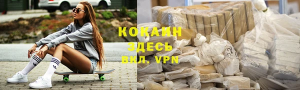 PSILOCYBIN Верея