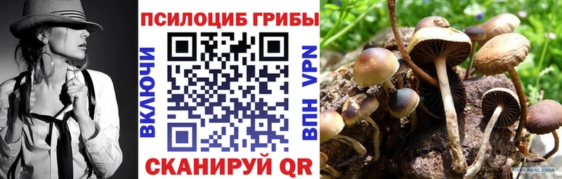 дарк нет как зайти  Балашиха  Псилоцибиновые грибы Magic Shrooms  купить закладку 